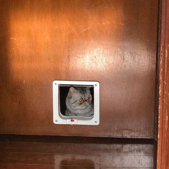 Meet your Posher, Xi - Picture 4 of 4